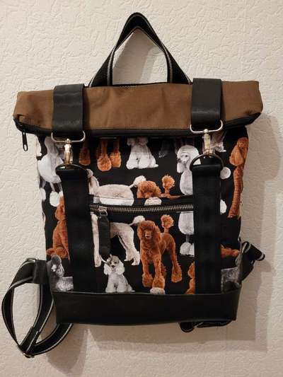 Alles rund um den Pudel-Beitrag-Bild