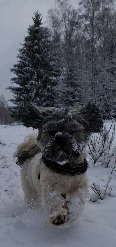 Lieblingsbild :D-Beitrag-Bild