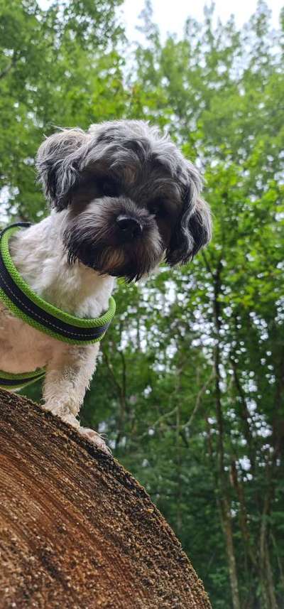 Lieblingsbild :D-Beitrag-Bild