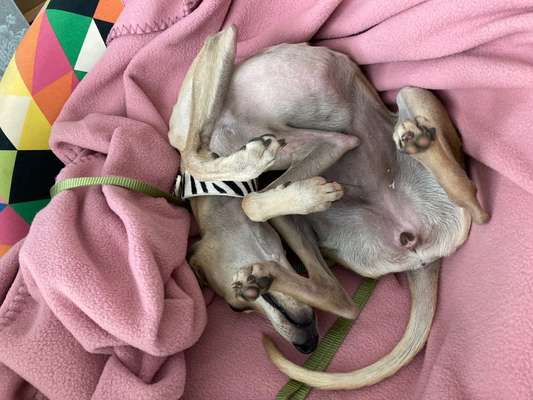 Foto Challange Nr.80-Beitrag-Bild