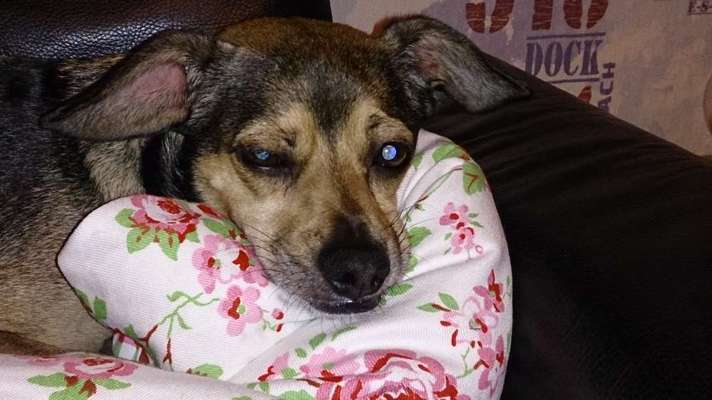 Fotochallange Nr. 57     PORTRÄT.   Beendet!!!!!!!!-Beitrag-Bild