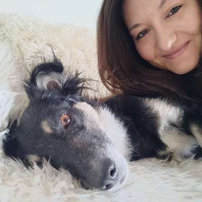 Hundetreffen-Gemeinsam Spazieren in Köln Riehl