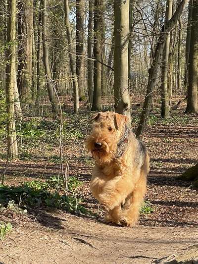 Lieblingsbild-Beitrag-Bild