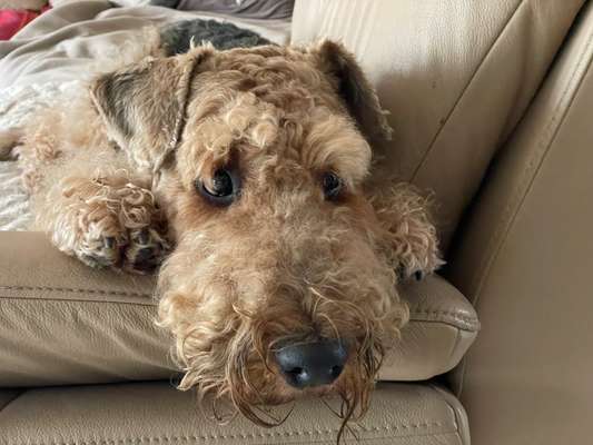 Lieblingsbild-Beitrag-Bild