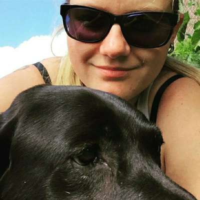 Hundetreffen-Gassi gehen, Social Walk, evtl. Toben-Profilbild