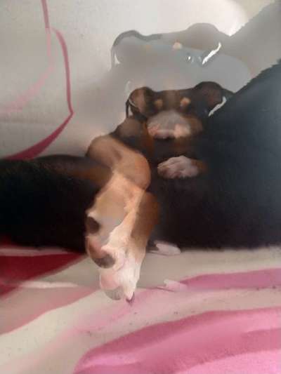 Un...scharf Bilder-Beitrag-Bild