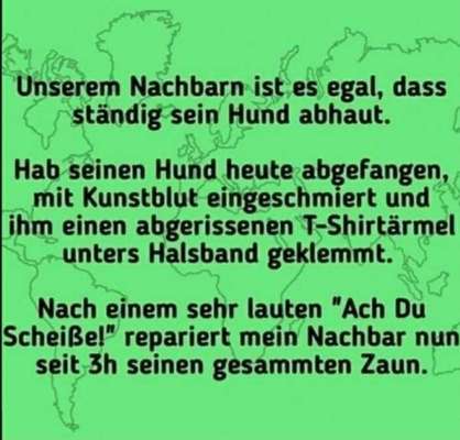 Hunde Memes-Beitrag-Bild