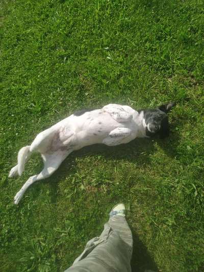 Was hat euch heute gefreut?-Beitrag-Bild