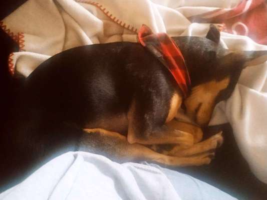 Fotochallange - Eingekugelt-Beitrag-Bild