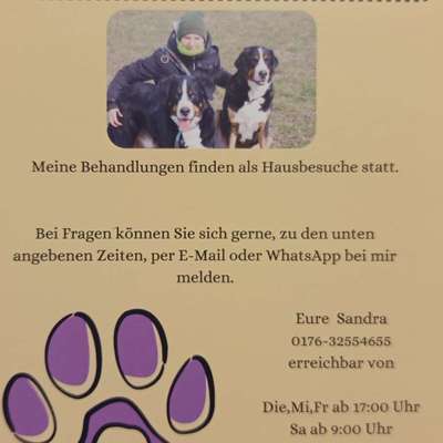 Medizinische Dienstleistungen-Hundephysiotherapie Stellos-Bild