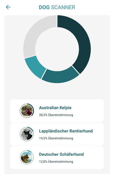 Ungarisches Überraschungspaket-Beitrag-Bild