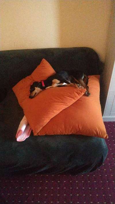 Die unbequemsten und lustigsten Schlafpositionen-Beitrag-Bild