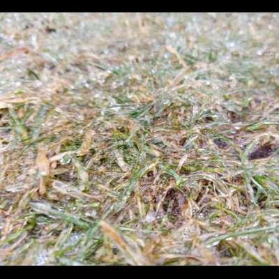 Was hat euch heute genervt?-Beitrag-Bild