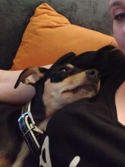 Wieso die Zucht der richtige Weg für mich war?-Beitrag-Bild