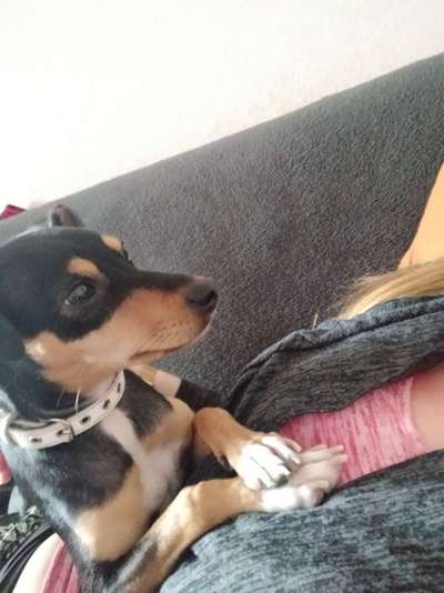 Danke ...-Beitrag-Bild