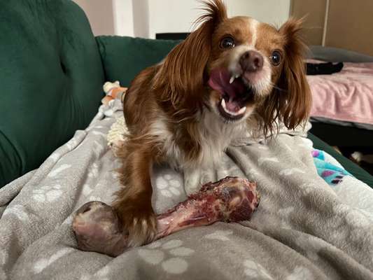 Moviestar-Pics!-Beitrag-Bild