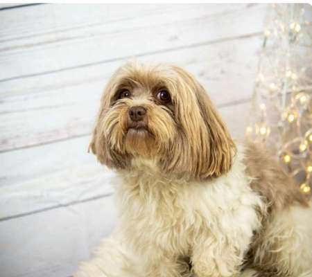 Doppelgänger gesucht !-Beitrag-Bild