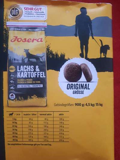 bolonka zwetna 😁-Beitrag-Bild