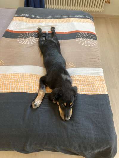 Foto Challenge Nr. 134-Beitrag-Bild