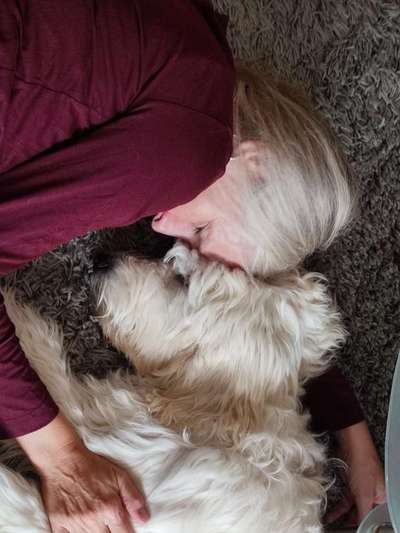 65. Handy Foto Challange                     "Ich kann nicht ohne..."-Beitrag-Bild