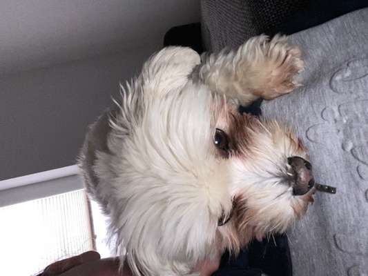 Trick Challenge Nr. 20   "Selfietrick"-Beitrag-Bild