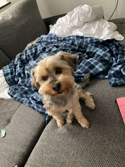 Doppelgänger gesucht !-Beitrag-Bild