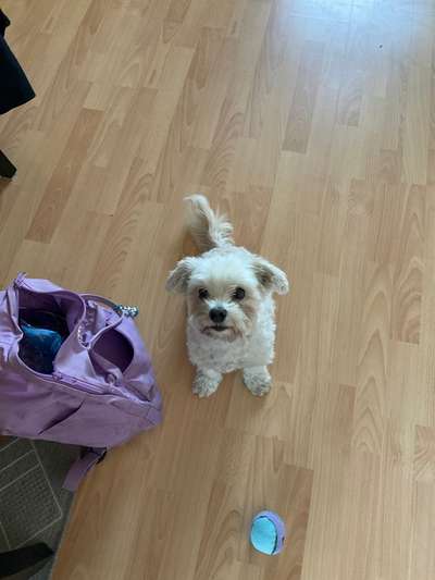 Doppelgänger gesucht !-Beitrag-Bild