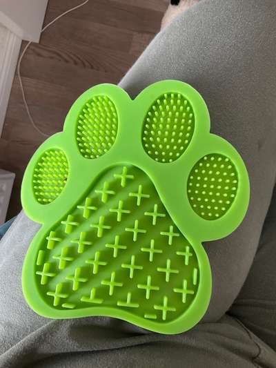 Indoor Beschäftigung-Beitrag-Bild