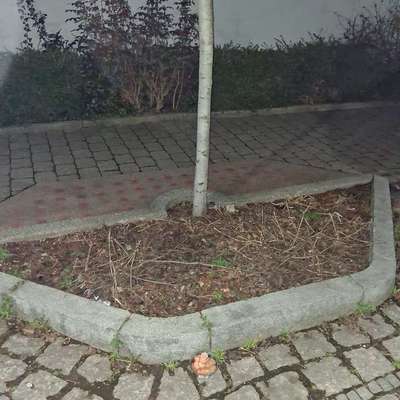 Giftköder-Plastikschüssel mit Würstchenscheiben-Bild