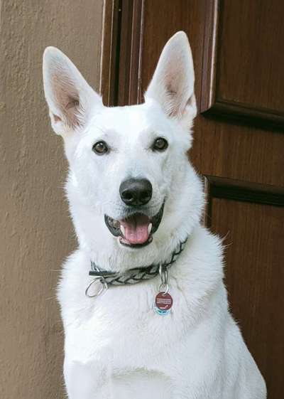 Fotochallange Nr. 57     PORTRÄT.   Beendet!!!!!!!!-Beitrag-Bild