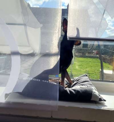 Prager Rattler-Beitrag-Bild