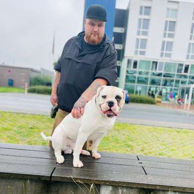 Hundetreffen-Hunderunde-Profilbild