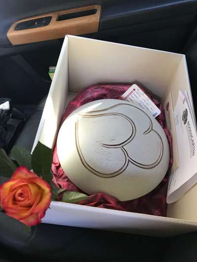 Regenbogenbrücke-Beitrag-Bild