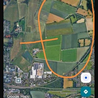 Suchmeldung-Mogli-Bild