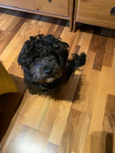 Chaos oder Routine-Beitrag-Bild