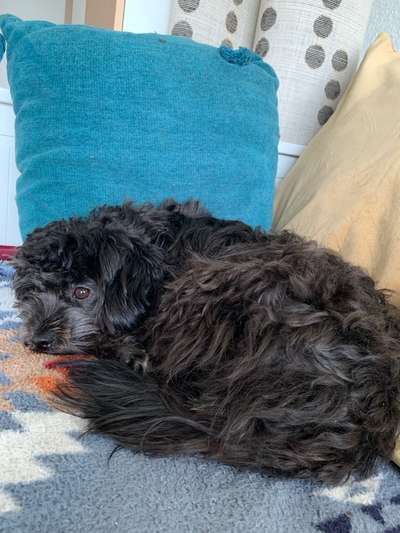 Chaos oder Routine-Beitrag-Bild