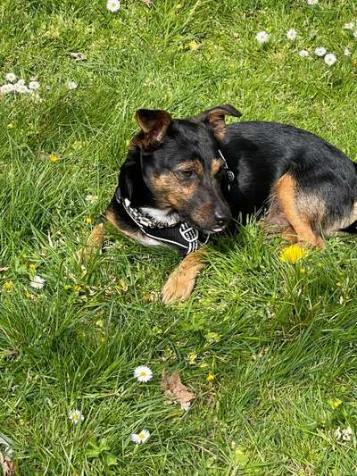 SonnenSTRAHLEN-Beitrag-Bild