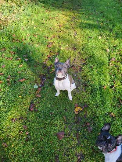 Ist das ein...?-Beitrag-Bild