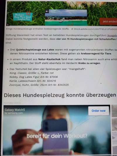 Französische Bulldoggen-Beitrag-Bild