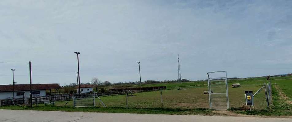 Hundeauslaufgebiet-Hundeplatz Bogen-Bild