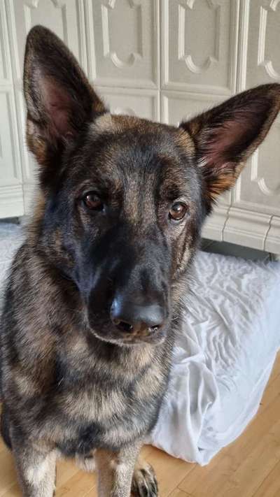 Fotochallenge Glanzbilder,du glänzt so schön-Beitrag-Bild