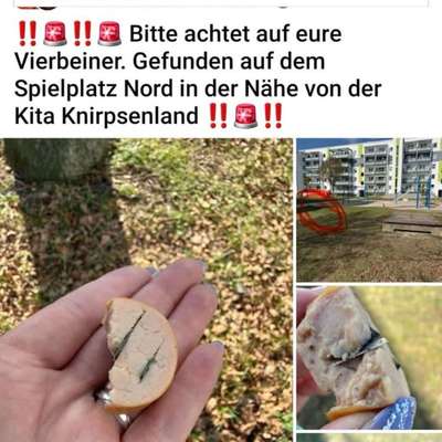 Giftköder-Giftköder-Bild