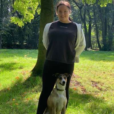 Hundetreffen-Hundetreffen oder gemeinsame Spaziergänge-Profilbild