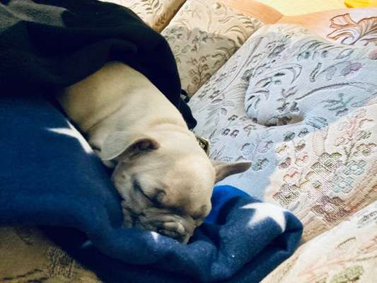 Wie habt ihr euch für einen Namen entschieden?-Beitrag-Bild