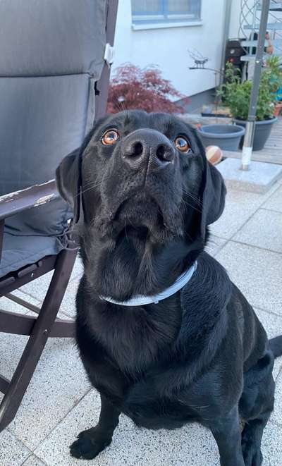 FOTOCHALLENGE 86-Beitrag-Bild