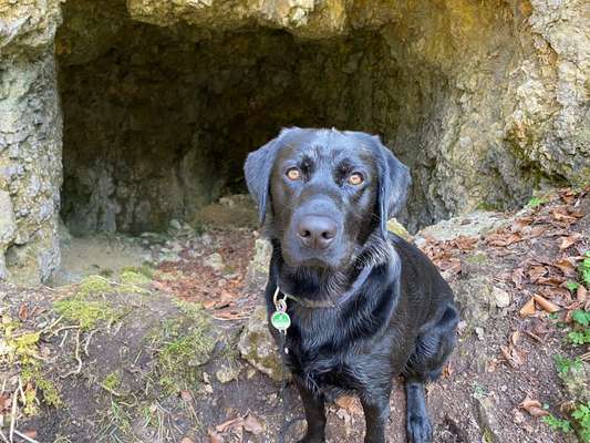 Dogorama Photo Challenge - Steine/Felsen-Beitrag-Bild