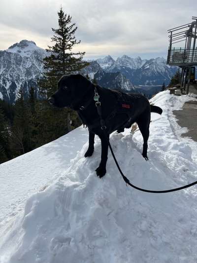 Lieblingsbild-Beitrag-Bild