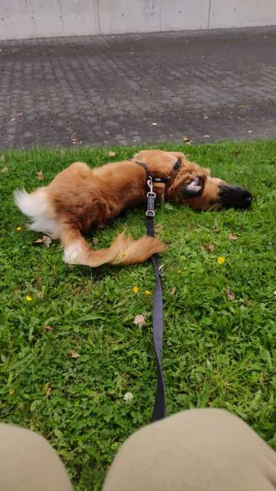 Zeigt mir eure Lieblingsfotos ♡♡-Beitrag-Bild