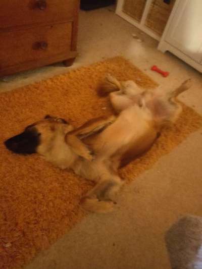 Die unbequemsten und lustigsten Schlafpositionen-Beitrag-Bild