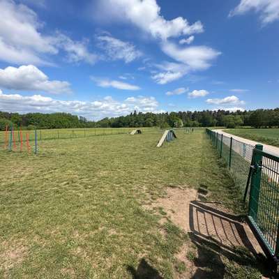 Hundeauslaufgebiet-Hundewiese Verau-Bild